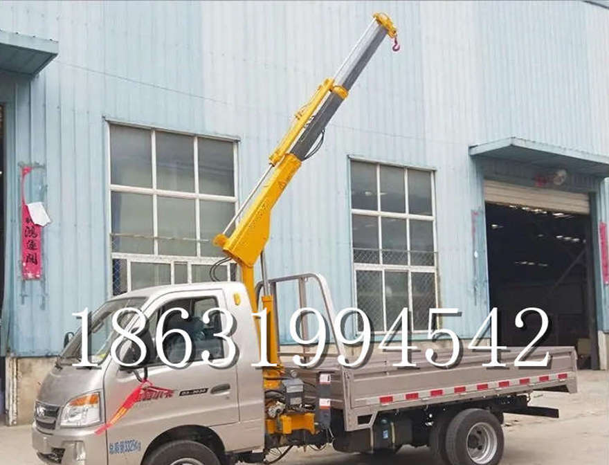 儋州市车载吊机儋州市附近车间货车儋州市附近车载吊机12V液压车载吊遥控升降机